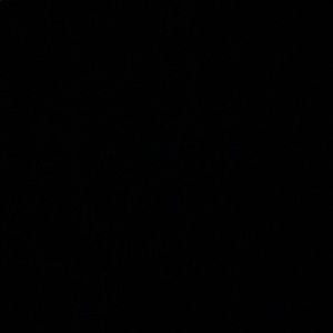 Meet your Posher, Kendall